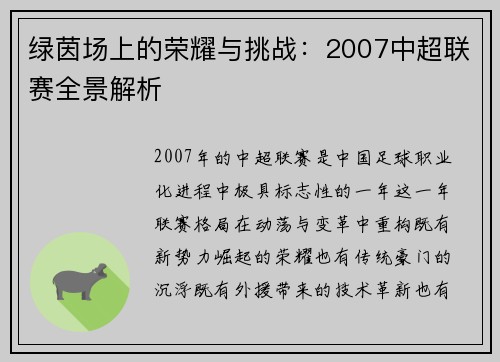 绿茵场上的荣耀与挑战：2007中超联赛全景解析