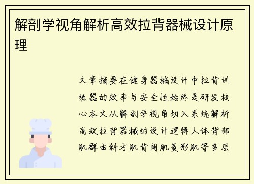 解剖学视角解析高效拉背器械设计原理